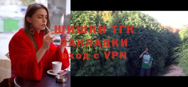 2c-b Дмитриев