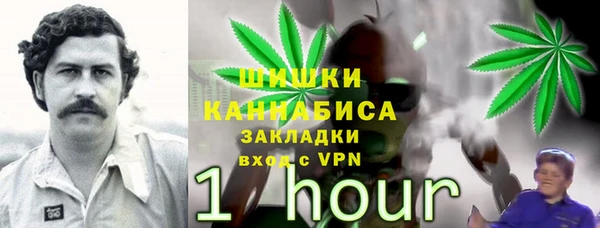 2c-b Дмитриев
