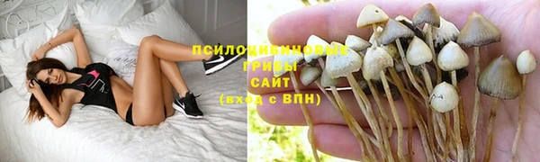 2c-b Дмитриев
