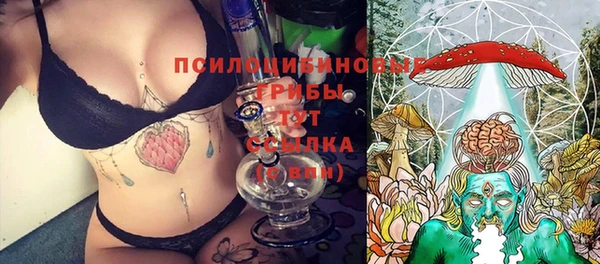 а пвп мука Дмитровск