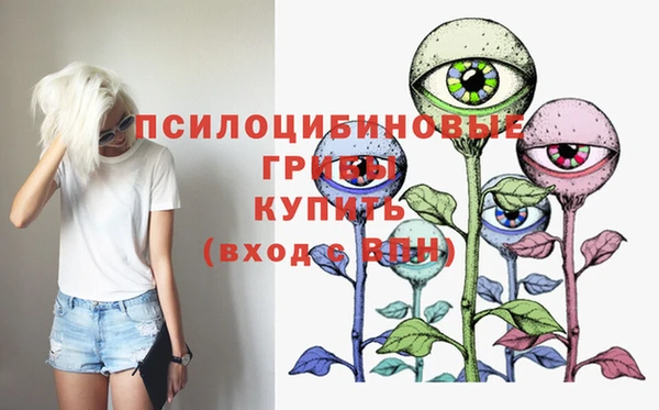 2c-b Дмитриев