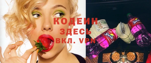 гидра Снежногорск