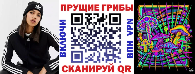Купить  Карталы  Галлюциногенные грибы Psilocybine cubensis 